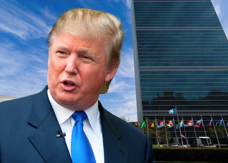 La ONU debió contratar a Donald J Trump en 2005