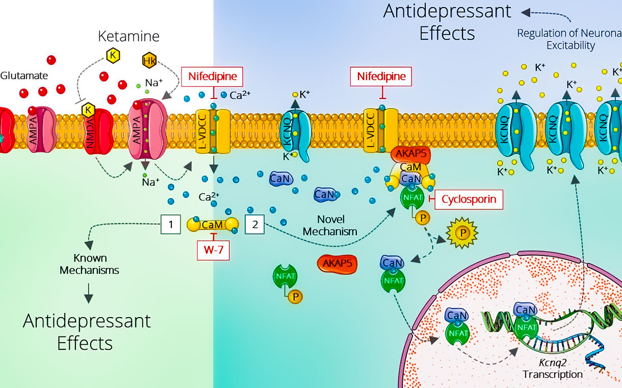Estudio Israel Alem N Sobre El Uso De La Ketamina Como Antidepresivo