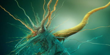 Científicos israelíes logran detectar bacterias resistentes y bacterias tolerantes