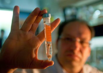 Médicos israelíes hacen crecer hueso nuevo a partir de la grasa del paciente