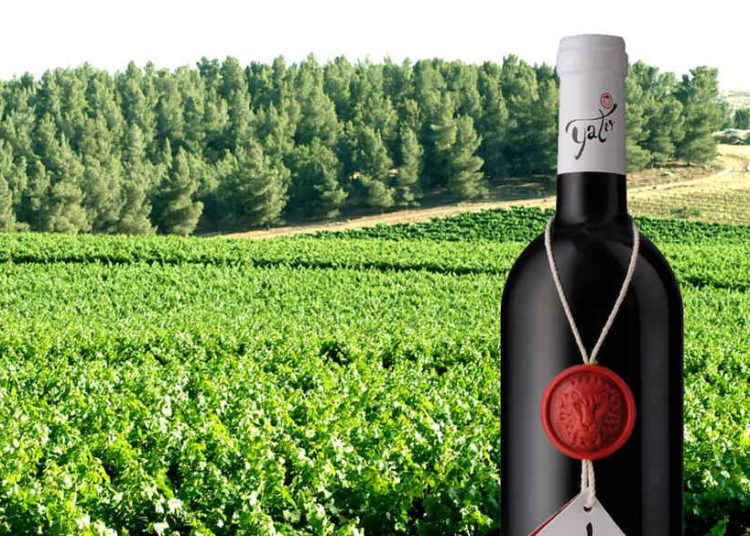 Canadá: los vinos de Judea y Samaria no son de Israel