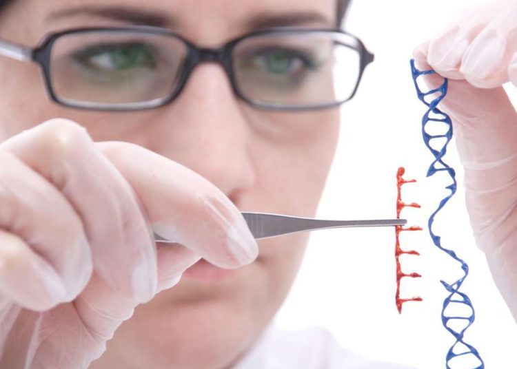 Investigadores israelies descubren una nueva mutación genética que causa infertilidad masculina
