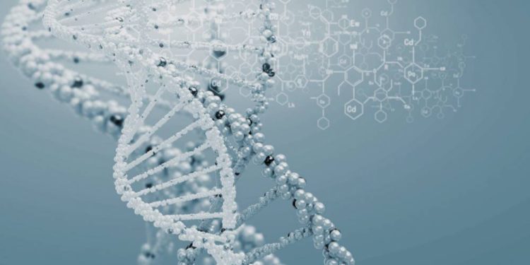 Científicos israelíes descubren una mutación genética que podría prolongar la vida por 10 años