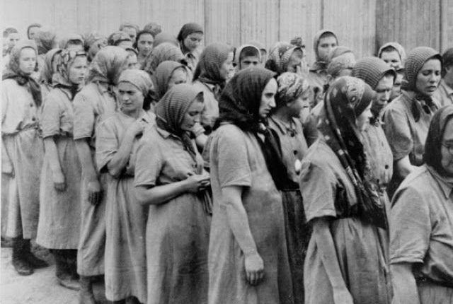 Mujeres Embarazadas Durante El Holocausto Noticias De Israel