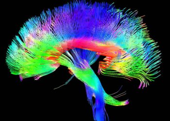Elimina los temblores de Parkinson sin dolor