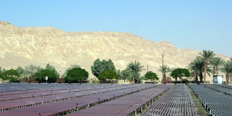 El Milagro Israel: Frutos del desierto
