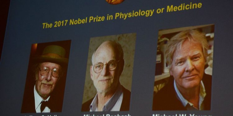 Judío estadounidense Michael Rosbash, hijo de refugiados judíos de la Alemania nazi, ganó un premio de 1,1 millones de dólares junto con Jeffrey C. Hall y Michal W. Young ganó el Premio Nobel de Medicina