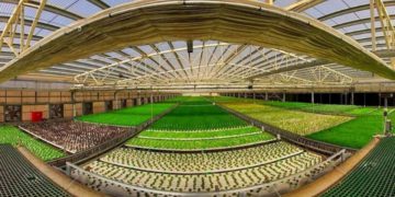 Tecnología agrícola israelí transforma una azotea en un invernadero aeropónico