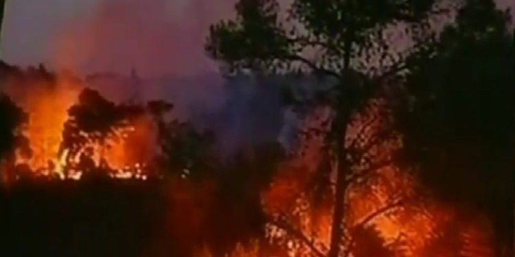 minutos 27 camiones de bomberos y 10 aviones luchan contra incendios fuera de Jerusalém