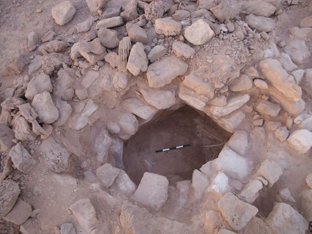 Las piedras cubren el cuerpo de los primeros restos de una mujer encontrada en las Minas del Rey Salomón en Timna, y ella estaba embarazada. (Crédito: Central Timna Valley Project)
