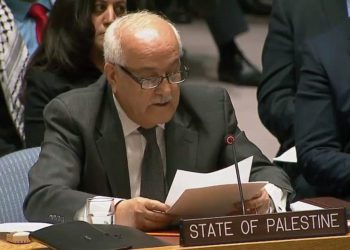 Enviado de la Autoridad Palestina a la ONU Riyad Mansour en el Consejo de Seguridad de la ONU, 8 de diciembre de 2017 (Naciones Unidas)