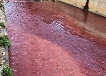 Preocupación en Líbano por coloración roja del río Bardawni