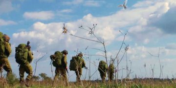Milagro: La paloma que salvó de morir a nuestros soldados