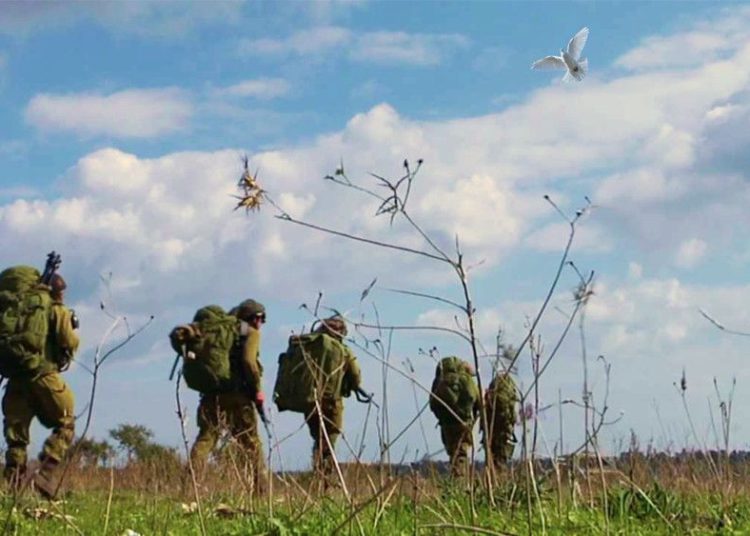 Milagro: La paloma que salvó de morir a nuestros soldados