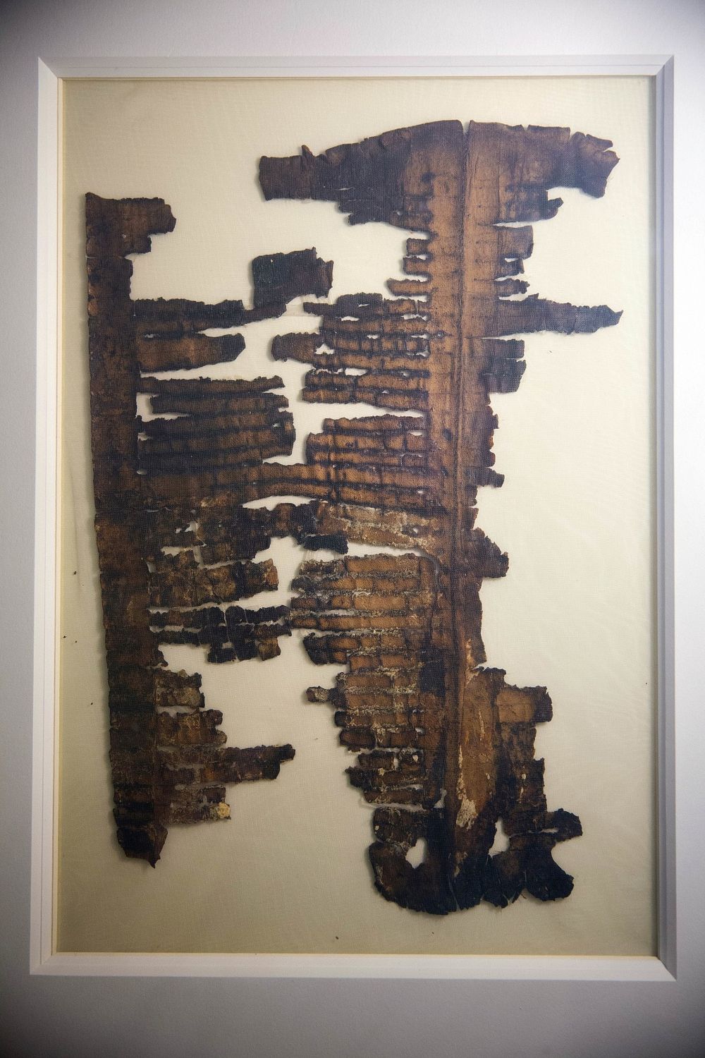 Un frágil fragmento de un enigmático Rollo del Mar Muerto está en exhibición pública en el Museo de Israel por primera vez desde su descubrimiento hace 70 años, en Jerusalén, el 20 de marzo de 2018. (AP / Oded Balilty)