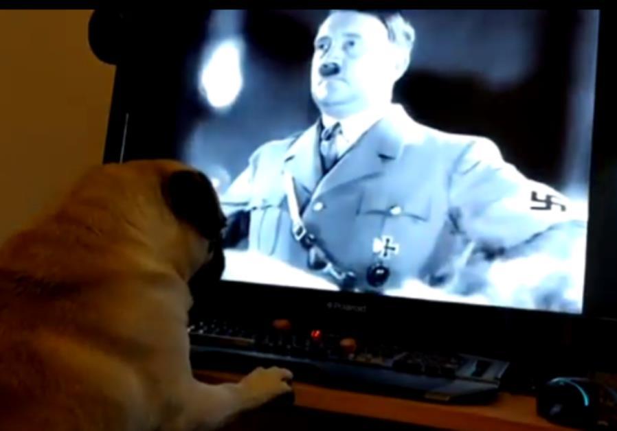 Hombre que enseñó a perro saludo nazi declarado culpable de delito de odio