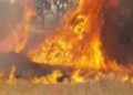 Cometa incendiaria de Gaza inicia incendio forestal en Israel