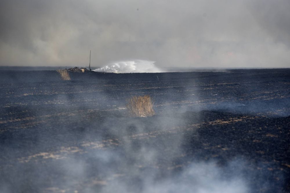 Grandes estragos en los campos de cultivo de Israel por las cometas encendidas que envían los islamistas desde Gaza. (Foto: Reuven Castro -Walla)