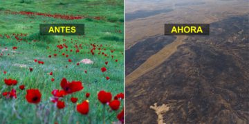 Knesset aprueba retener fondos a la AP por daños causados por cometas incendiarias