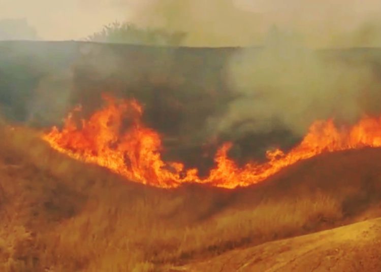 Islamistas de Gaza causan incendio masivo en Israel con cometa en llamas