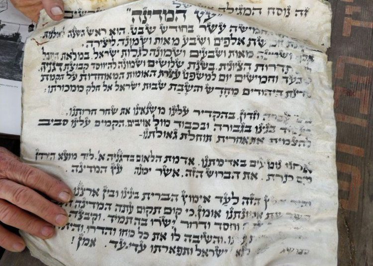 Un árbol colapsó en Israel revelando un pergamino histórico entre sus raíces