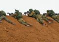Enfrentamiento entre célula de Hamas y Fuerzas de Defensa de Israel