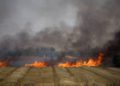 Grandes incendios en los campos Israel por cometa incendiaria desde Gaza