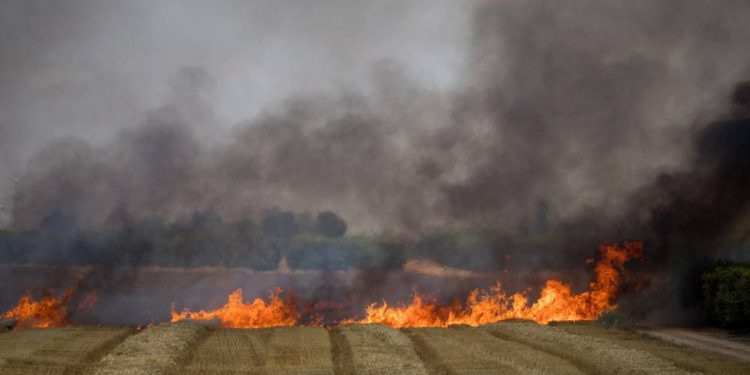 Grandes incendios en los campos Israel por cometa incendiaria desde Gaza