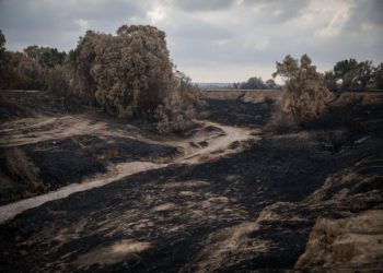 Islamistas de Gaza provocaron 20 incendios en Israel