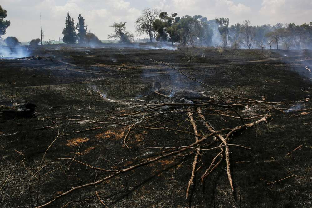 Tierra en el sur de Israel, cerca de la frontera de Gaza, quemada por cometas incendiarias enviadas desde Gaza. (Yehuda Peretz / KKL-JNF / cortesía)