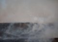 Cientos de pavos mueren asfixiados por humo de incendios por globos incendiarios de Gaza