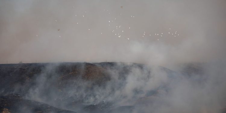 Cientos de pavos mueren asfixiados por humo de incendios por globos incendiarios de Gaza