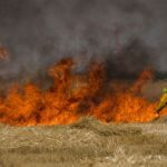 Netanyahu: hay un precio por incendiar los campos