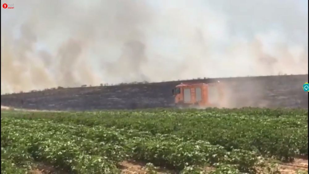 Incendios en campos adyacentes a la frontera de Gazan el 3 de junio de 2018. (Captura de pantalla: noticias de Ynet)