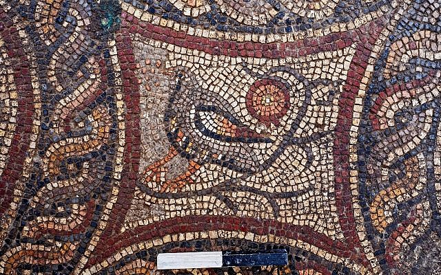 Figuras de animales en el mosaico Lod recientemente expuesto. (Asaf Peretz, AAI)