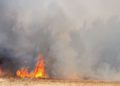 Incendio causado por cometas y globos incendiarios (Foto: Consejo Regional de Eshkol)