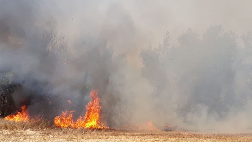 Incendio causado por cometas y globos incendiarios (Foto: Consejo Regional de Eshkol)