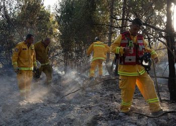 Bomberos israelíes extinguen un incendio en el embalse de Shikma causado por cometas voladas por palestinos, cerca de la frontera con la Franja de Gaza, el 5 de julio de 2018. (Edi Israel / Flash90)