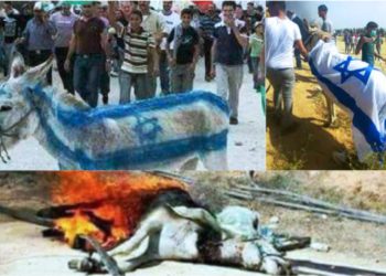 El inhumano uso de animales por terroristas musulmanes para atacar a Israel