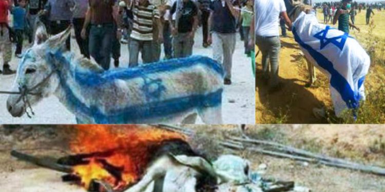 El inhumano uso de animales por terroristas musulmanes para atacar a Israel