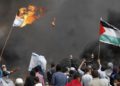Científico advierte que incendios amenazan la ecología del cinturón de Gaza, “quizá para siempre”