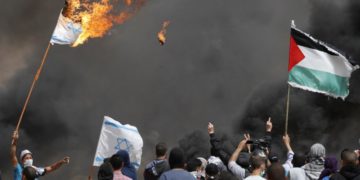Científico advierte que incendios amenazan la ecología del cinturón de Gaza, “quizá para siempre”