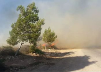 12 incendios estallaron en Negev por globos incendiarios lanzados desde Gaza