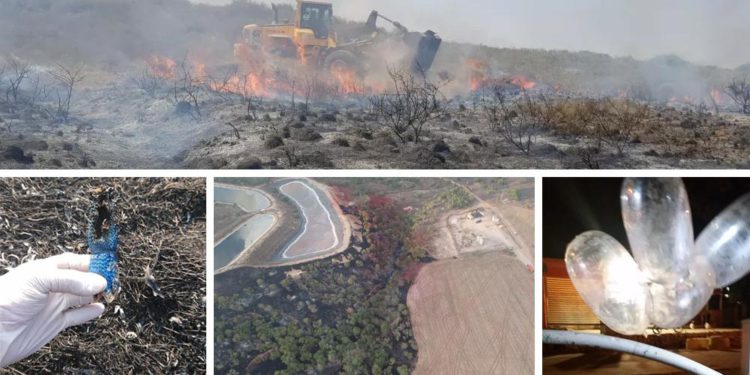 Globos incendiarios de Gaza provocan 7 incendios en el sur de Israel