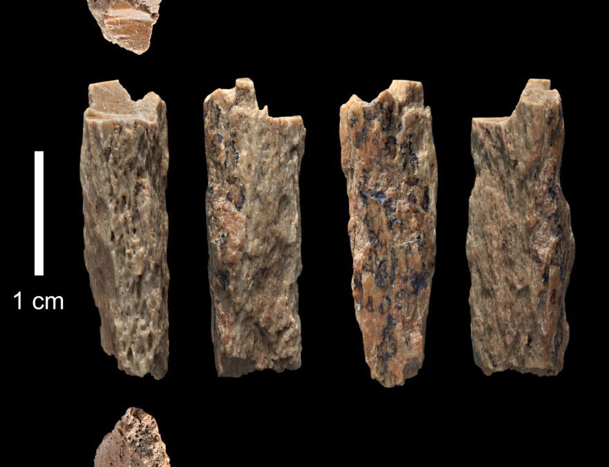 El Santo Grial de la Evolución: Híbrido de madre Neanderthal y padre Denísova encontrado en Siberia