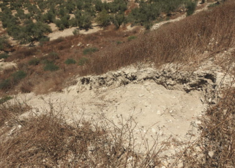 Tres palestinos son atrapados robando un recinto arqueológico