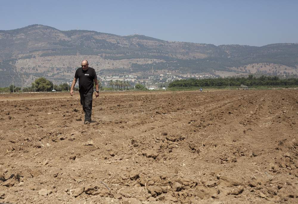 En esta foto del 17 de julio de 2018, el agricultor israelí Ofer Moskovitz camina por su campo cerca de Kfar Yuval, Israel. (AP Photo / Caron Creighton)
