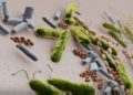 Startup israelí Nobio crea partículas que matan bacterias al contacto
