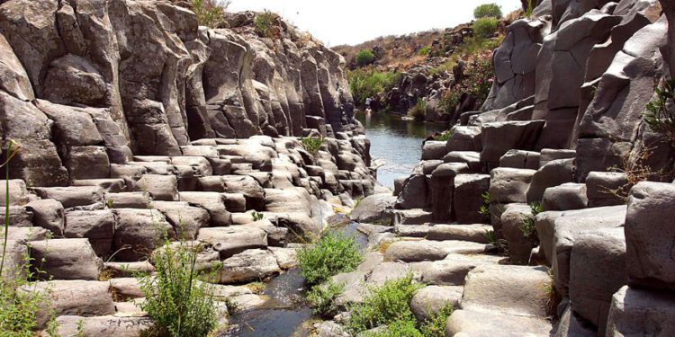 Empresa bombea agua limpia a ríos del norte de Israel para eliminar bacterias de leptospirosis