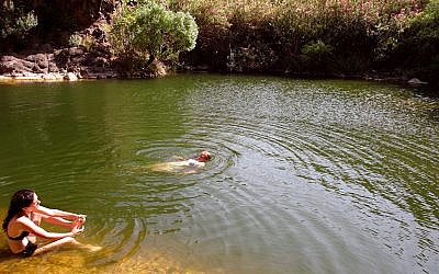 La gente nada en una de las dos piscinas de agua dulce bajo una gran cascada en un sendero llamado Upper Zavitan el 4 de julio de 2006, en Yehudia, un parque en los Altos del Golán. (Phil Sussman / Flash90 / Archivo)